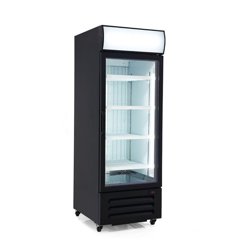 Single Door Freezer Merchandiser